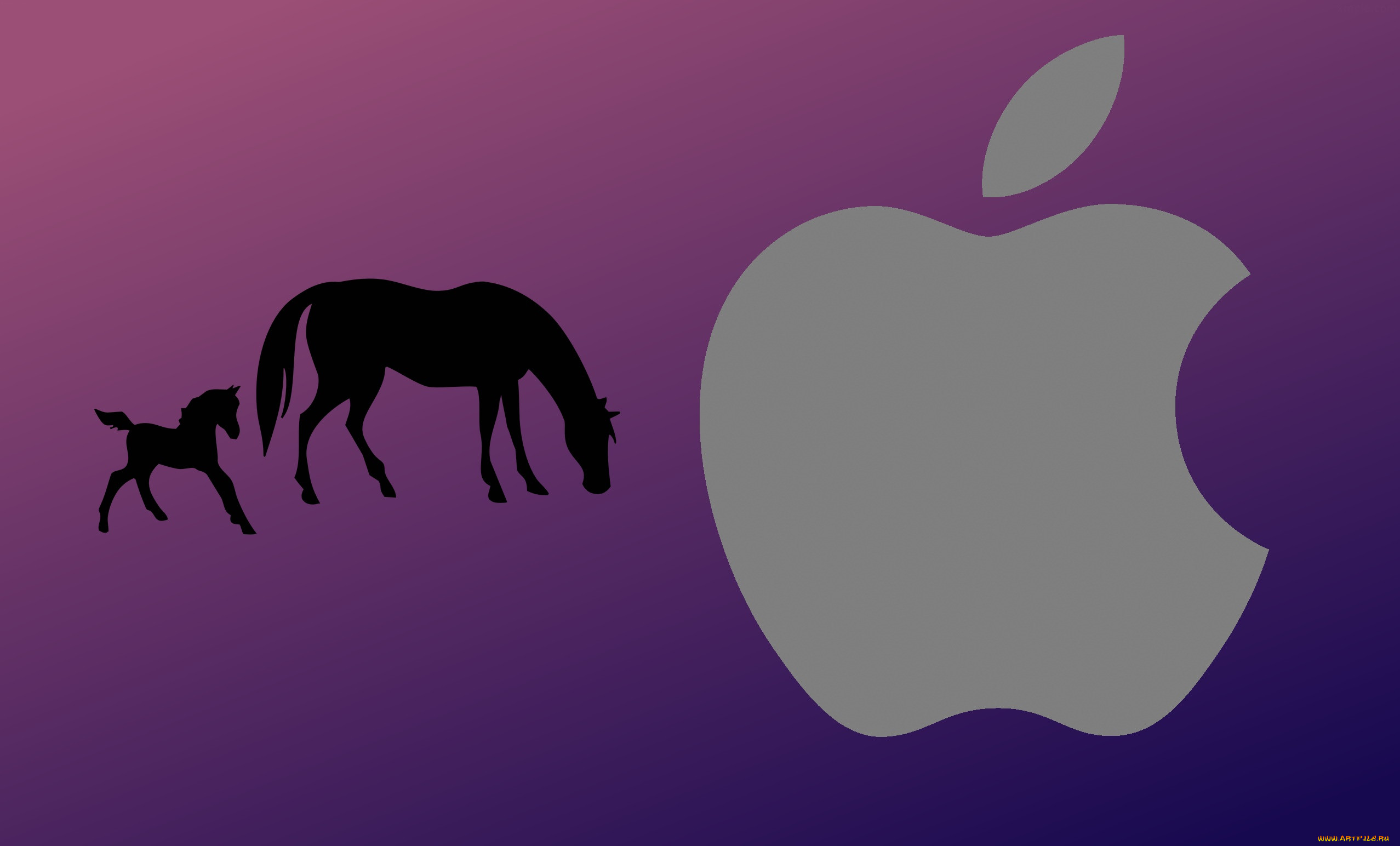 , apple, , 
